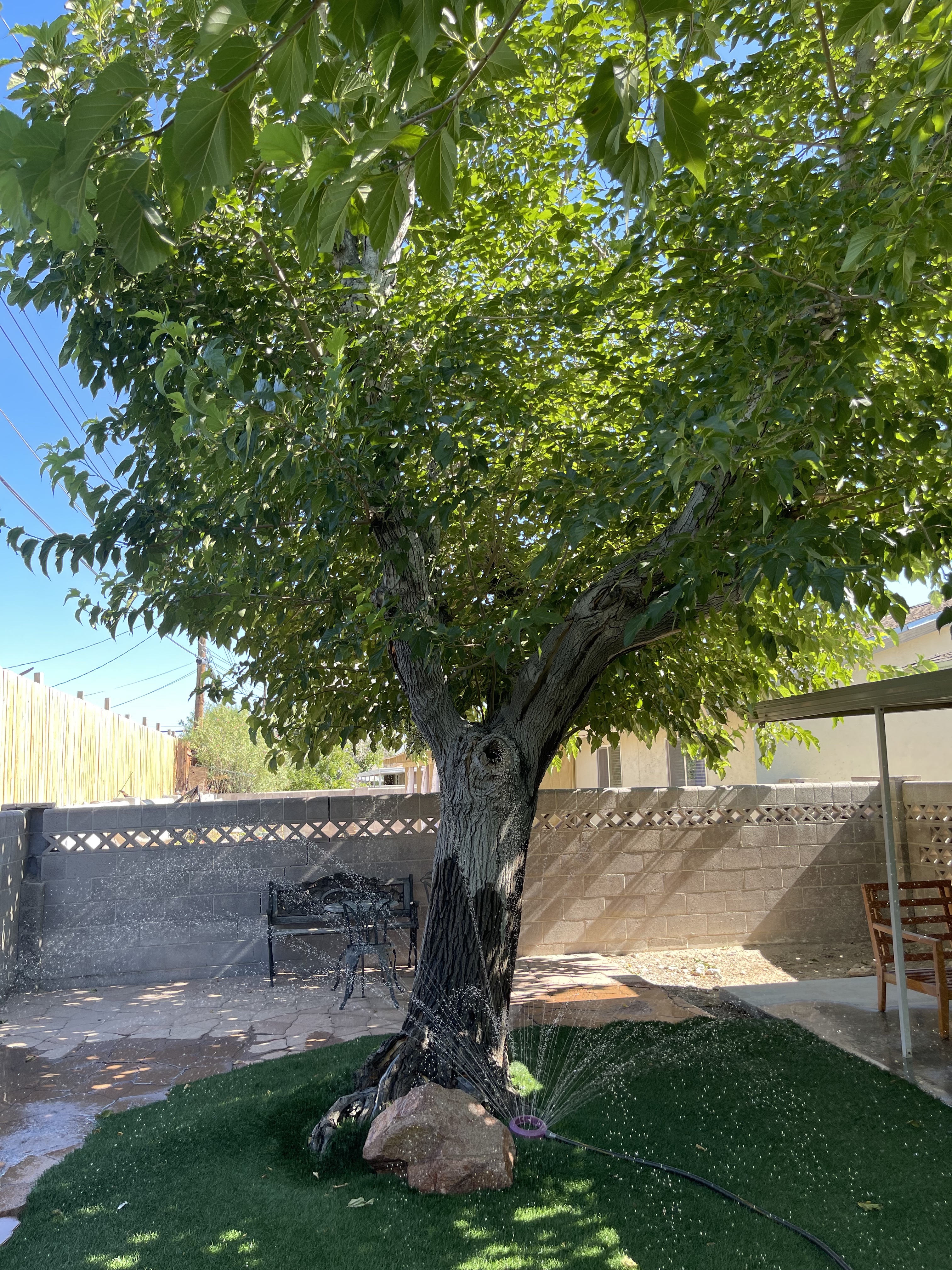 Thrive in 2025: Abounding In the Work of The Lord